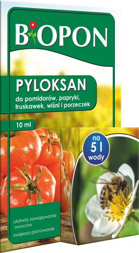 Pyloksan 10 ml - 1761 C - 5904517247277 - 14.09.23.png