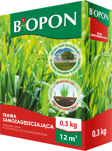 Trawa samozageszczajaca 0,3kg - 1938 A - 5904517307278 -  02.01.23.png