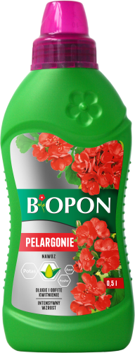 Pelargonie 0,5l - 5904517008106 - 1014 E - 03.03.26.png