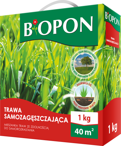 Trawa samozageszczajaca 1kg - 1843 B - 5904517269910 - 03.10.22.png