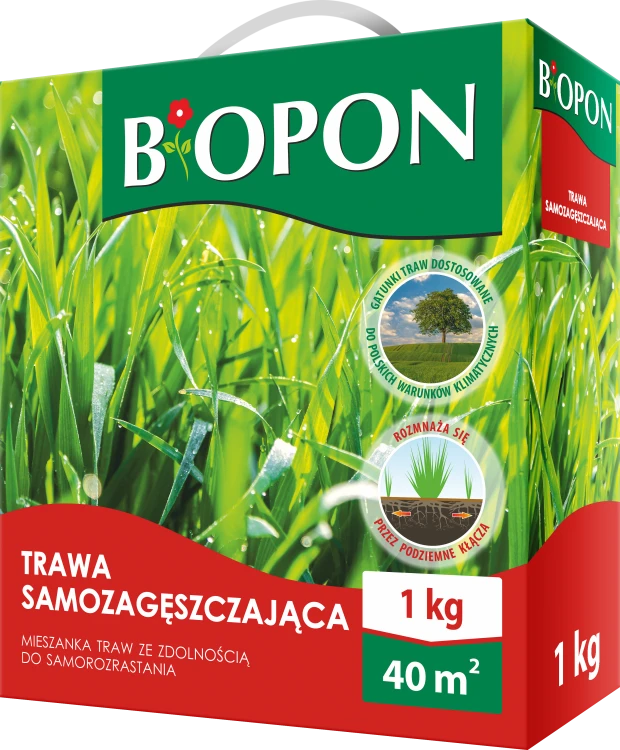 Trawa samozageszczajaca 1kg - 1843 B - 5904517269910 - 03.10.22.png