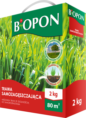 Trawa samozageszczajaca 2kg - 1933 A - 5904517306615 - 06.06.22.png