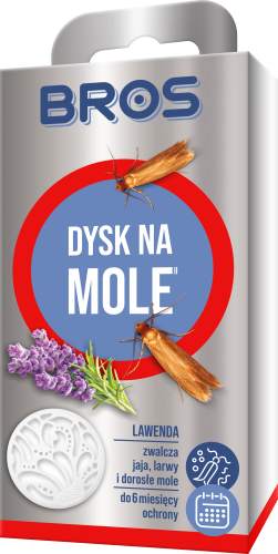 BROS dysk na mole lawenda - 896 I - 5904517083448 - 09.01.26.png
