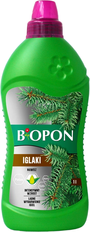 Iglaki 1l - 1024 E - 5904517008243 - 10.10.22.png