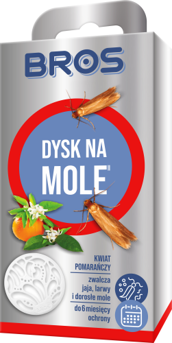 BROS dysk na mole kwiat pomaranczy - 921 H - 5904517084988 - 09.09.24.png
