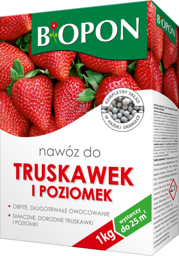 Truskawki 1kg - 1060 F - 5904517008908 - 07.10.25.png