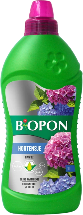 Hortensje 1l - 2113 - 5904517403277 - 10.07.25.png