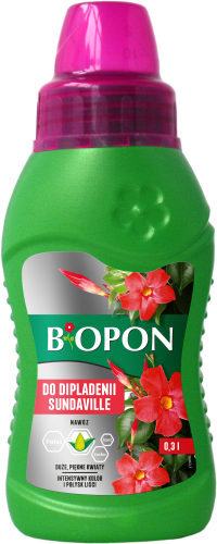 BOPON dipladenia sundaville 0,3 l - 2072 A - 5904517388703 16.09.24.png