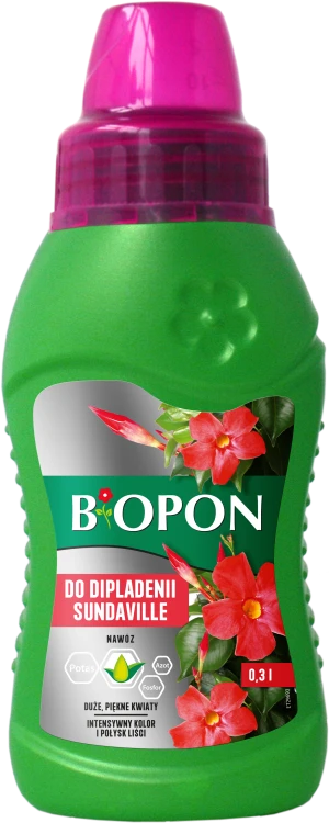 BOPON dipladenia sundaville 0,3 l - 2072 A - 5904517388703 16.09.24.png