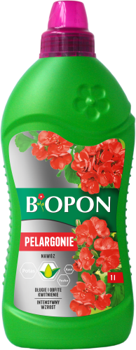 Pelargonie 1l - 1015 E - 5904517008113 - 26.07.23.png