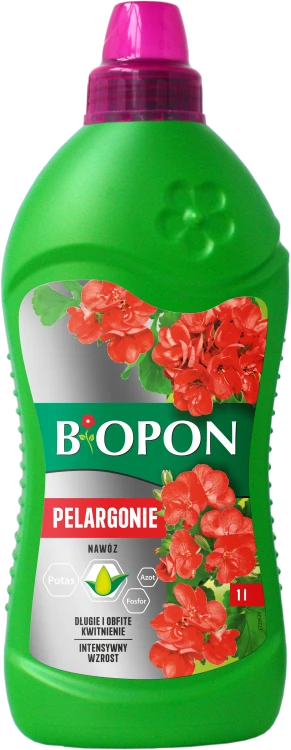 Pelargonie 1l - 1015 E - 5904517008113 - 26.07.23.png