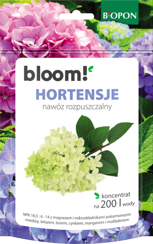 BLOOM BOPON Hortensje nawoz rozpuszczalny 200g - 2106 - 5904517403109 - 18.09.25.png