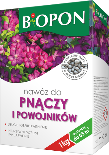 Pnacza i powojniki 1kg - 5904517044029 - 1196 D - 07.11.24.png