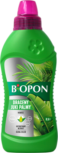 Juka dracena palma 0,5l - 1037 E - 5904517008717 - 12.10.22.png
