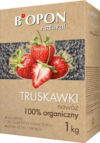 Truskawki 1kg - 2052 - 5904517384699 02.12.24.png