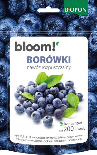 BLOOM BOPON Borowki nawoz rozpuszczalny 200g - 2105 - 5904517403093 - 19.09.24.png