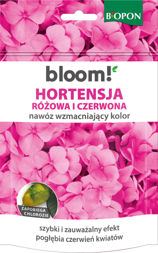 Koncentrat rozpuszczalny hortensja rozowa i czerwona - 1561 C - 5904517405967 - 09.10.24.png