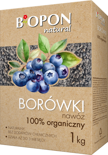 Borowki 1kg - 2051 - 5904517384682 - 07.12.23.png