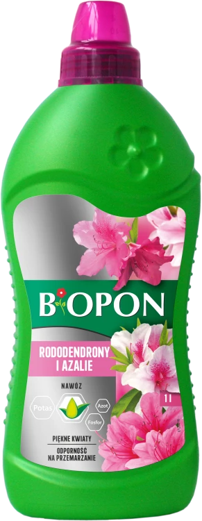 Rododendrony 1l - 1025 F - 5904517008212 - 10.10.22.png