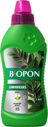 Zamiokulkas 0,5l - 1034 E - 5904517008434 - 12.10.22.png
