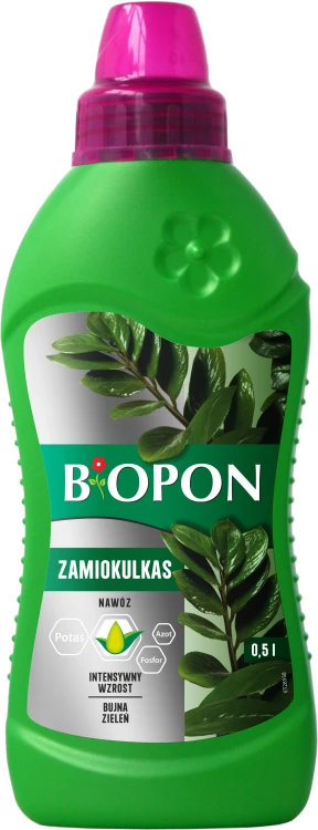 Zamiokulkas 0,5l - 1034 E - 5904517008434 - 12.10.22.png