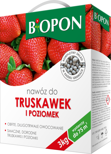 Truskawki 3 kg - 1867 B - 5904517283305 - 13.11.23.png
