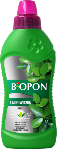 Laurowisnia 0,5l - 2070 A - 5904517388680 - 24.04.24.png