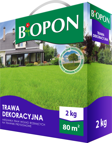 Trawa dekoracyjna 2kg - 1118 C - 5904517009196 - 04.06.24.png