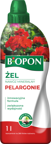 Pelargonie 1l - 1290 D - 5904517106178 - 13.09.23.png