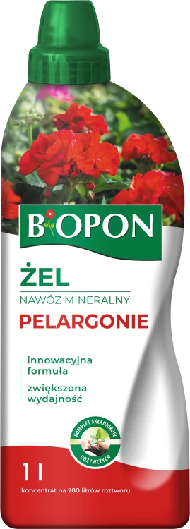 Pelargonie 1l - 1290 D - 5904517106178 - 13.09.23.png