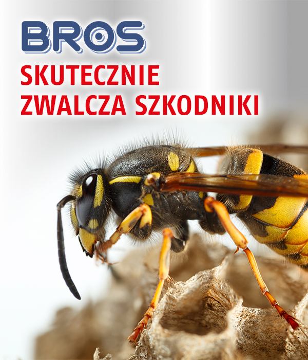 Zdjęcie slajdu